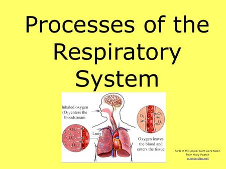 Processes of the Respiratory System Parts of this powerpoint were taken from Mary Poarch science-class.net.