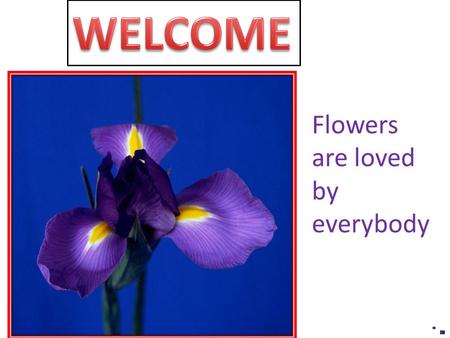 Flowers are loved by everybody. Md. Babul Aktar. B.S.S. B.Ed. M.S.S. Shalbari High School, Mohadebpur, Naogaon.
