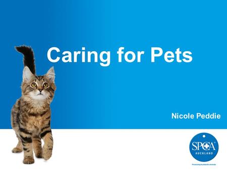 Caring for Pets Nicole Peddie. What do pets need?