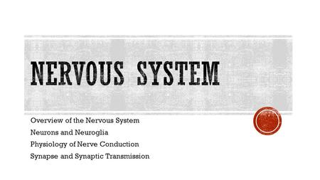 Overview of the Nervous System Neurons and Neuroglia Physiology of Nerve Conduction Synapse and Synaptic Transmission.