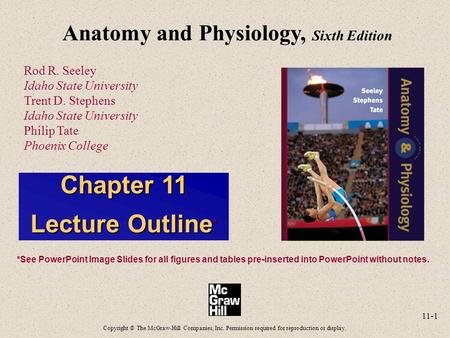 11-1 Anatomy and Physiology, Sixth Edition Rod R. Seeley Idaho State University Trent D. Stephens Idaho State University Philip Tate Phoenix College Copyright.