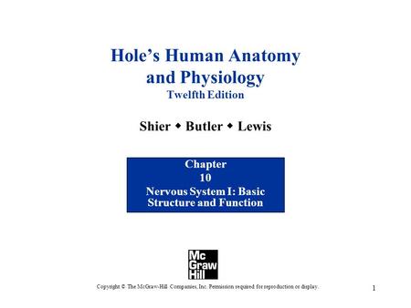 1 Hole’s Human Anatomy and Physiology Twelfth Edition Shier  Butler  Lewis Chapter 10 Nervous System I: Basic Structure and Function Copyright © The.