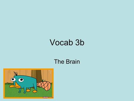 Vocab 3b The Brain. area at the front of the parietal lobes that registers and processes body touch and movement sensations.