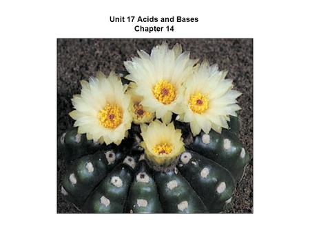 Unit 17 Acids and Bases Chapter 14. What is the Arrhenius concept? Acids produce H ions in aqueous solution while bases produce hydroxide ions Originally.