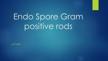 Endo Spore Gram positive rods
