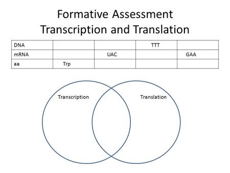 Formative Assessment Transcription and Translation DNA TTT mRNA UAC GAA aa Trp TranscriptionTranslation.