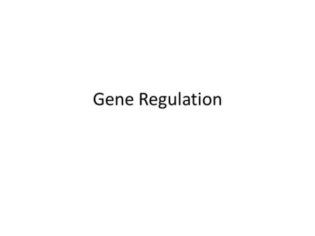 Gene Regulation.