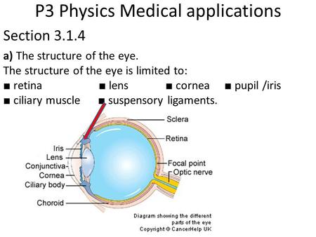 P3 Physics Medical applications Section 3.1.4 a) The structure of the eye. The structure of the eye is limited to: ■ retina ■ lens ■ cornea ■ pupil /iris.