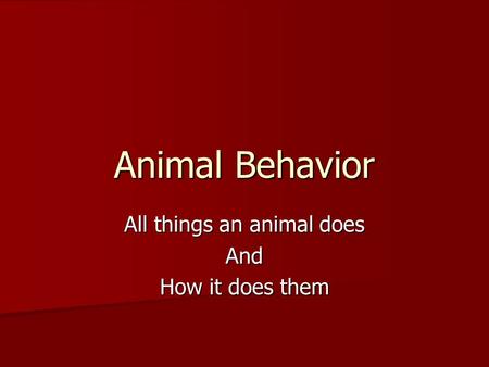Animal Behavior All things an animal does And How it does them.