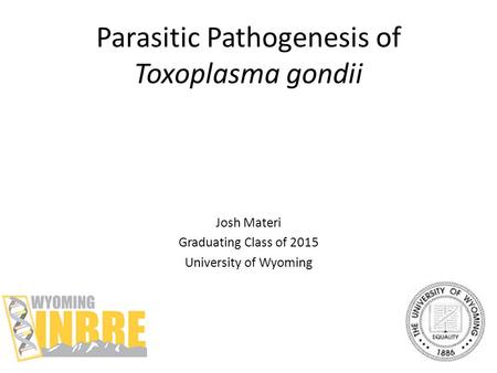 Parasitic Pathogenesis of Toxoplasma gondii Josh Materi Graduating Class of 2015 University of Wyoming.