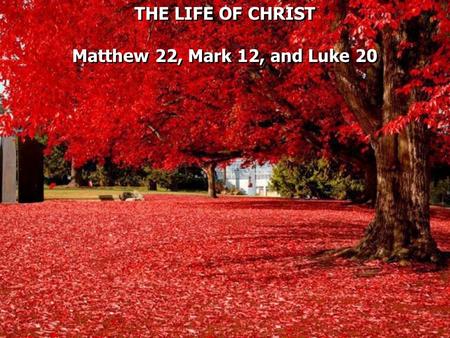 THE LIFE OF CHRIST Matthew 22, Mark 12, and Luke 20 THE LIFE OF CHRIST Matthew 22, Mark 12, and Luke 20.