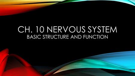 Ch. 10 Nervous System basic Structure and Function