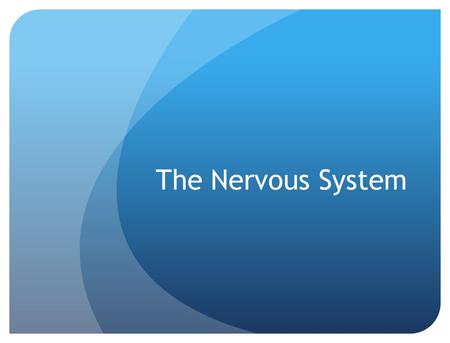 The Nervous System. Functions of the Nervous System Respond to internal and external stimuli Transmit nerve impulses to and away from CNS Interpret nerve.