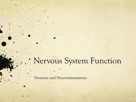 Nervous System Function