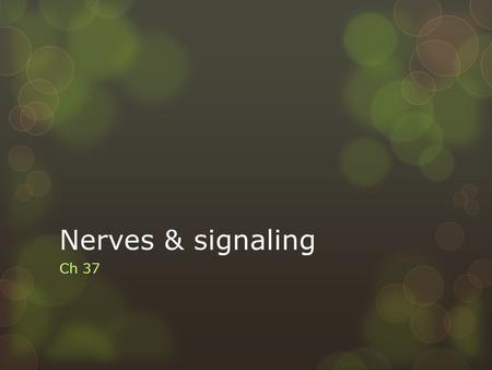 Nerves & signaling Ch 37. I. Nerves =  A. Cells called neurons bundled together in a sheath of connective tissue.