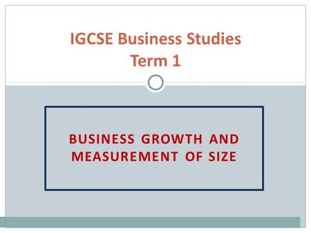 IGCSE Business Studies Term 1