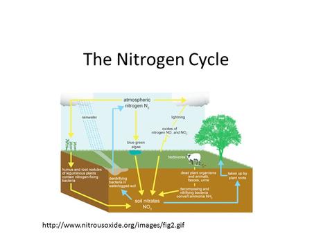 The Nitrogen Cycle http://www.nitrousoxide.org/images/fig2.gif.