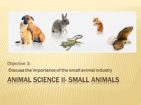 Objective 3: Discuss the importance of the small animal industry.