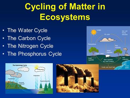 Cycling of Matter in Ecosystems
