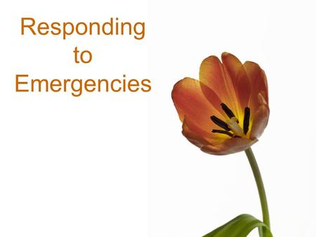 Responding to Emergencies. Free template from www.brainybetty.com2 Responding to Emergencies 1.CHECK –Is the scene safe? –What happened? –How many involved?