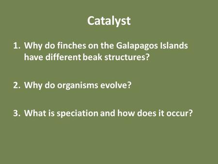 SEPTEMBER 28, 2017 OBJECTIVE – Students will review morphology and