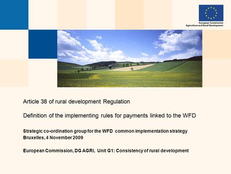 Article 38 of rural development Regulation Definition of the implementing rules for payments linked to the WFD Strategic co-ordination group for the WFD.