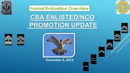 CBA ENLISTED/NCO PROMOTION UPDATE December 8, 2014 Formal Evaluation Overview.