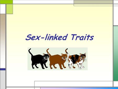 Sex-linked Traits. Sex determination  Sex chromosomes – determines the sex of an individual YY XX  Males have X and Y  Two kinds of gametes  Female.