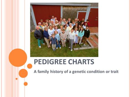 PEDIGREE CHARTS A family history of a genetic condition or trait.