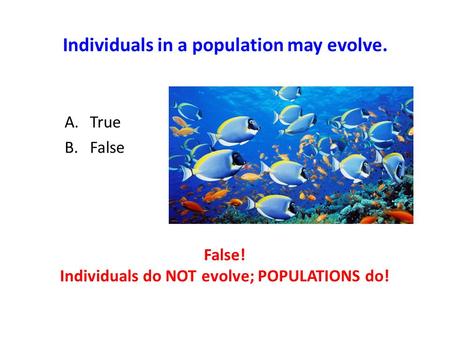 Individuals in a population may evolve. A.True B.False False! Individuals do NOT evolve; POPULATIONS do!