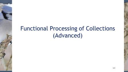 Functional Processing of Collections (Advanced) 6.0.