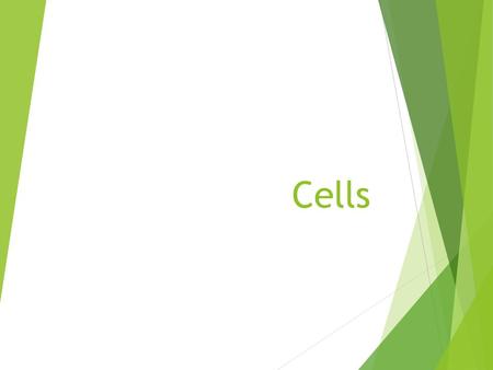 Cells. Definitions  Cell – the smallest unit of a living organism; surrounded by a thin membrane  Unicellular – an organism consisting of only one cell.