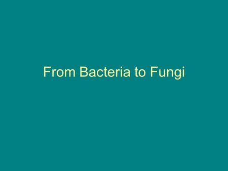 From Bacteria to Fungi. Interactions Symbiosis- A close relationship in which one organism benefits, but the other is not harmed. Ex. Bird builds a nest.