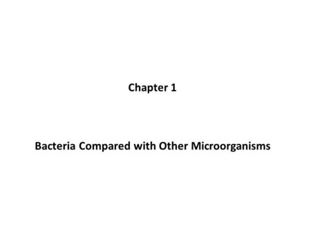 Bacteria Compared with Other Microorganisms Chapter 1.