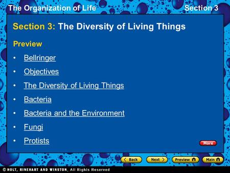 The Organization of LifeSection 3 Section 3: The Diversity of Living Things Preview Bellringer Objectives The Diversity of Living Things Bacteria Bacteria.