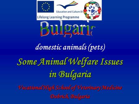Domestic animals (pets) Some Animal Welfare Issues in Bulgaria Vocational High School of Veterinary Medicine Dobrich, Bulgaria.