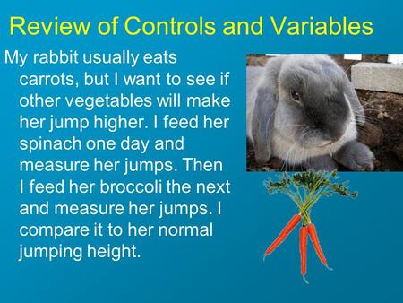 Review of Controls and Variables My rabbit usually eats carrots, but I want to see if other vegetables will make her jump higher. I feed her spinach one.