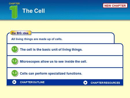 The BIG idea CHAPTER OUTLINE NEW CHAPTER The Cell CHAPTER All living things are made up of cells. The cell is the basic unit of living things. 1.1 Microscopes.