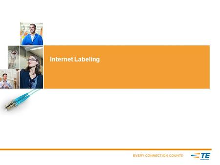Internet Labeling. Table of Contents  Page 3 – What is Internet Labeling (IL)  Page 4 - Benefits / Access  Page 5 – Systems Requirements  Page 6 –