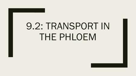 9.2: Transport in the phloem