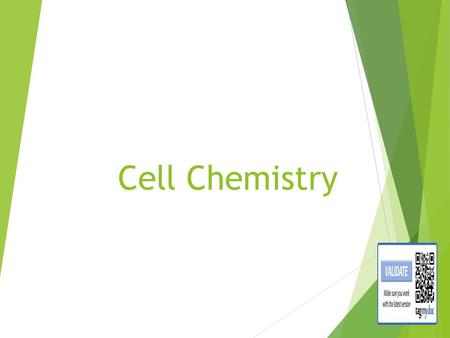 Cell Chemistry Life depends on Chemistry What does this mean?????