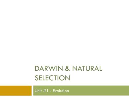 DARWIN & NATURAL SELECTION Unit #1 - Evolution. The First Scientists  Aristotle  Species are fixed and unchanging  Carolus Linnaeus  Species’ resemblence.