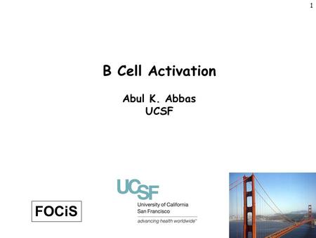 B Cell Activation Abul K. Abbas UCSF FOCiS.
