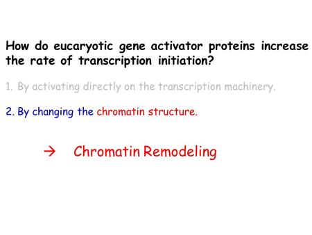 How do eucaryotic gene activator proteins increase the rate of transcription initiation? 1.By activating directly on the transcription machinery. 2.By.