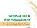 WEEDS of RICE & their MANAGEMENT