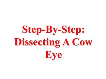 Step-By-Step: Dissecting A Cow Eye. sclera cornea 1. Examine the outside of the eye. See how many parts of the eye you can identify. You should be able.