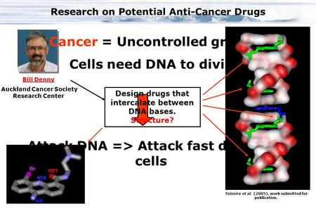 Research on Potential Anti-Cancer Drugs Bill Denny Auckland Cancer Society Research Center Design drugs that intercalate between DNA bases. Structure?