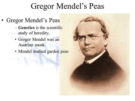 Gregor Mendel’s Peas –Genetics is the scientific study of heredity. Gregor Mendel was an Austrian monk. Mendel studied garden peas.
