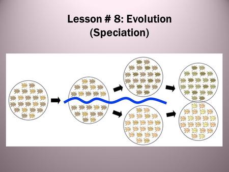 Lesson # 8: Evolution (Speciation). Introductory Terms - In order for one population to become very different from another, they must be reproductively.