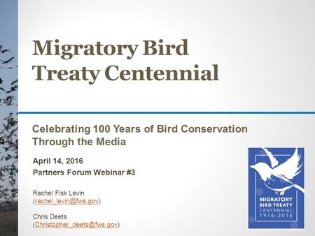 Migratory Bird Treaty Centennial Celebrating 100 Years of Bird Conservation Through the Media April 14, 2016 Partners Forum Webinar #3 Rachel Fisk Levin.
